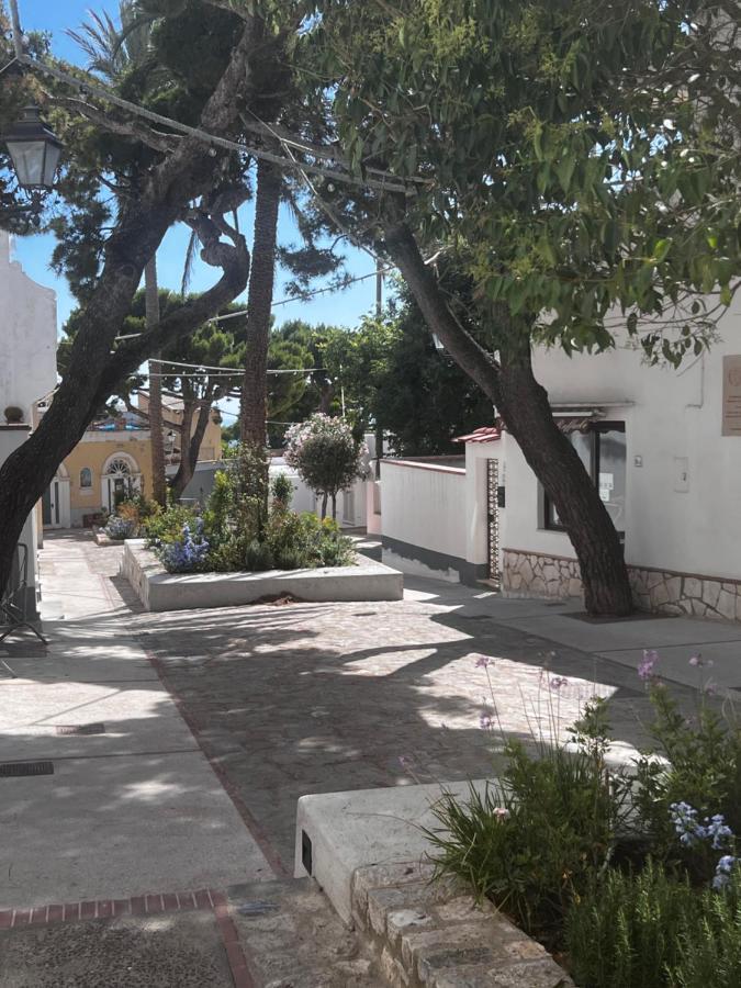 Bed and Breakfast Casa Dora à Anacapri  Extérieur photo